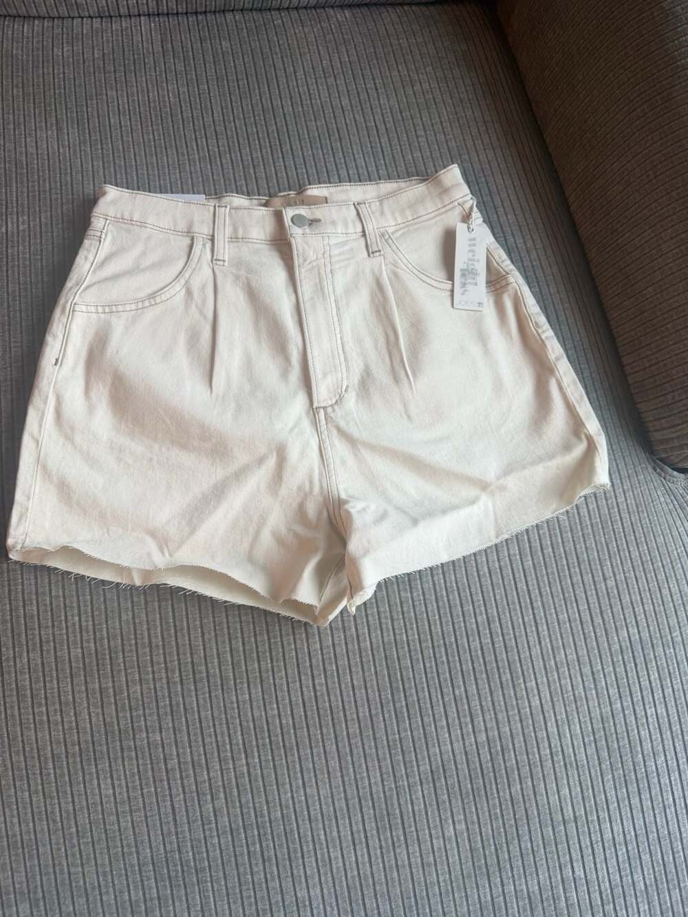 Joe's Jeans The Pleated Short High Rise Weightless‎ in Natural